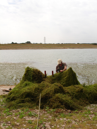 Our unique Lake-rake drags the bed, removing weed at the root to minimise future re-growth.