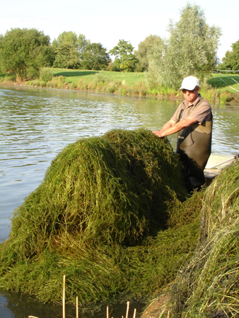 The Lake-rake removes the need for chemical solutions which can threaten fish and other wildlife.