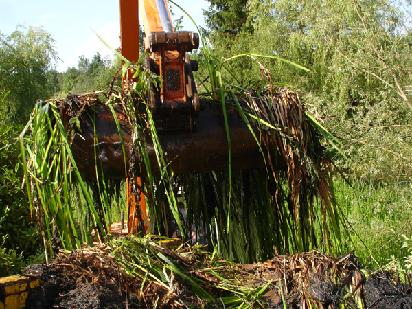 Excavated weeds are collected and disposed of safely and efficiently.