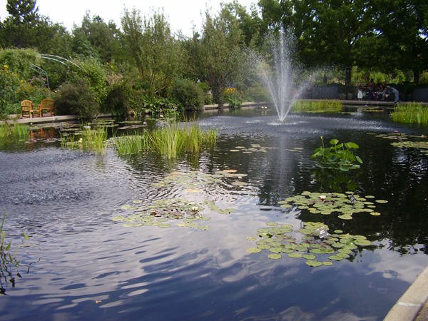 Fountains keep water from stagnating, and serve as an attractive centrepiece.